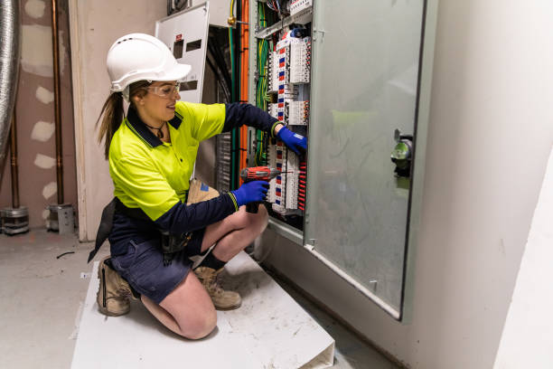 Best Electrical System Inspection  in Grayling, MI